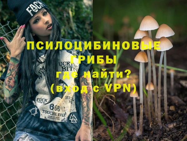 не бодяженный Алексин