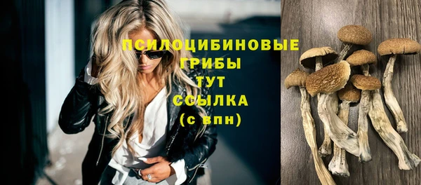 не бодяженный Алексин