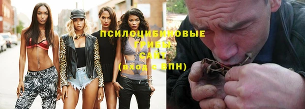 прущие крисы Алексеевка