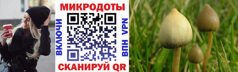 Псилоцибиновые грибы MAGIC MUSHROOMS Кириши